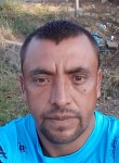 Alberto Sanchez, 41 год, Irapuato