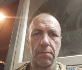 Владимир, 46 лет, Ржев