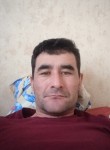Shamurat, 41  , Orel-Izumrud