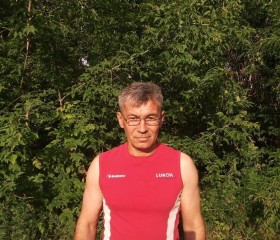 Анатолий, 51 год, Чебаркуль