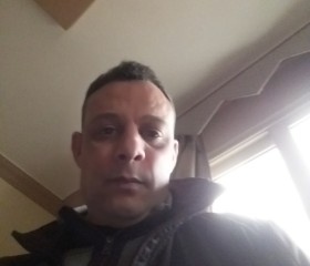 عادل, 41, Alexandria