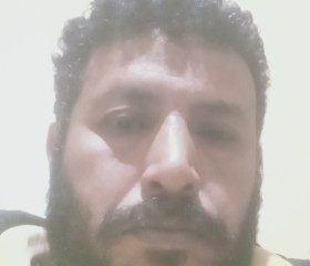 ياسر, 43, Bilbays