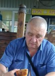 Анатолий, 65 лет, Пушкино