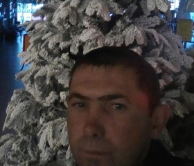 Дмитрий, 42 года, Елизово