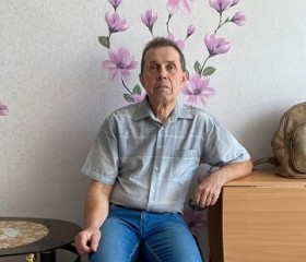 Владимир Советки, 65 лет, Отрадный