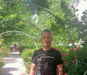 Николай, 67 лет, Симферополь