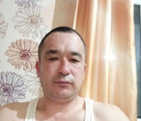 Музафар, 42 года, Бежецк