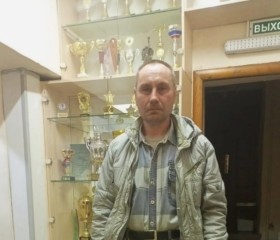 Владимир, 50 лет, Коломна