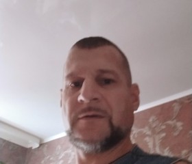 Aleksej, 43 года, Віцебск