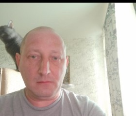 Дмитрий, 51 год, Никольское