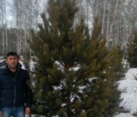 Самир, 38 лет, Москва