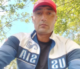Rustam, 35, Novosibirsk