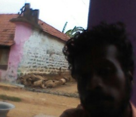 David, 29 лет, Kozhikode