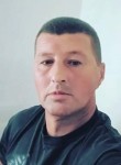Iulian, 52 года, Ploiești