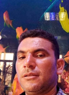 عبدالحميد محمد из الزقازيق 44 года