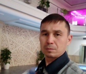 Альберт, 45 лет, Toshkent