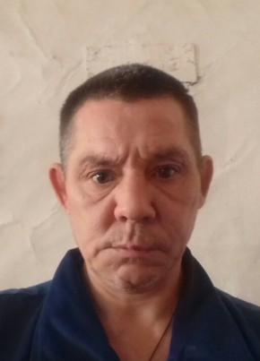 Владимир, 48, Россия, Шумиха