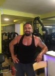 Tarık, 43 года, İzmir