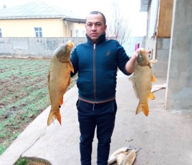 Рустам, 36 лет, Магнитогорск