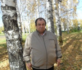Владимир, 70 лет, Куйбышев