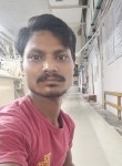 Satrudhan Das, 27 лет, Mumbai
