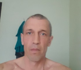 Сергей, 45 лет, Зеленогорск (Красноярский край)