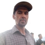 artikovhamrod406