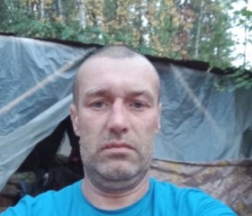 Иван Тыщенко, 42 года, Москва