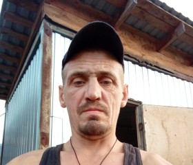 Lev, 39, Sokol