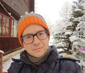 Maksim, 47, Krasnoznamensk (MO)