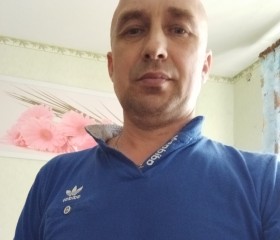 Дима, 45 лет, Северодвинск