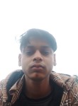 Vishal Paswan, 20 лет, Ludhiana