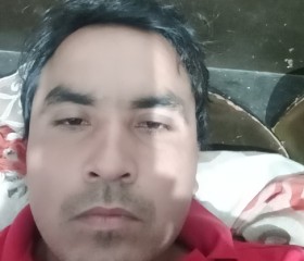 Anish Khan, 33 года, Faridabad