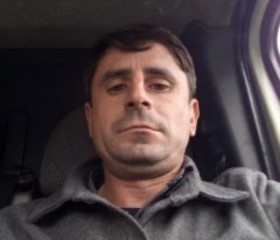 Дмитрий, 40 лет, Köln