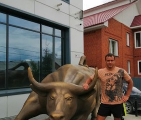 Антон, 47 лет, Томск
