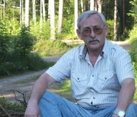 Борис, 69 лет, Санкт-Петербург