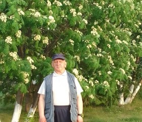 Mikhail, 61, Tobolsk