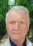 Viktor, 71, Saint Petersburg