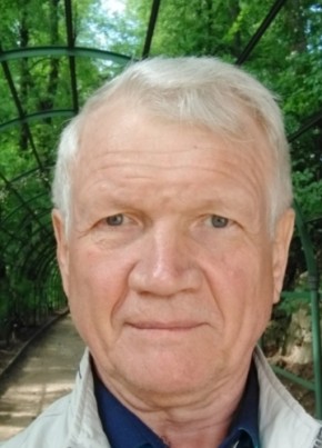 Viktor, 71, Russia, Saint Petersburg