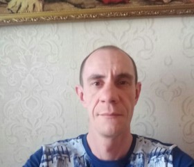 Дмитрий, 42 года, Волчанск