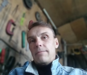 Николай, 44 года, Москва