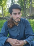 Jameel, 18 лет, پشاور