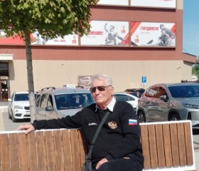 Stanislav Andree, 75, Voronezh