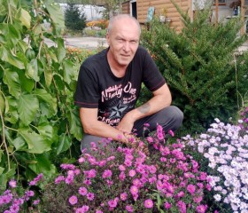 Владимир, 58 лет, Артем