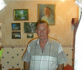 Леонид, 68 лет, Брянск