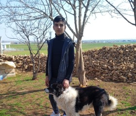 Barış Düşme, 20, Mudanya