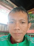 Jupid sihombing, 45 лет, Djakarta