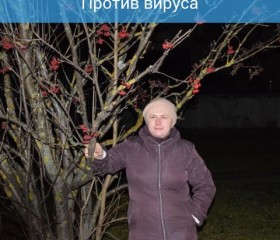 Светлана, 39 лет, Дубна (Московская обл.)