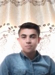 محمد بني عامر, 21 год, إربد