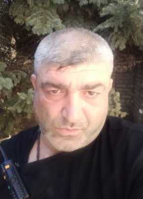 Вилен, 52, Россия, Георгиевск